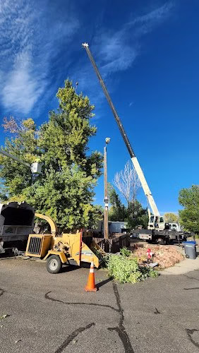 282346 limb walkers tree service