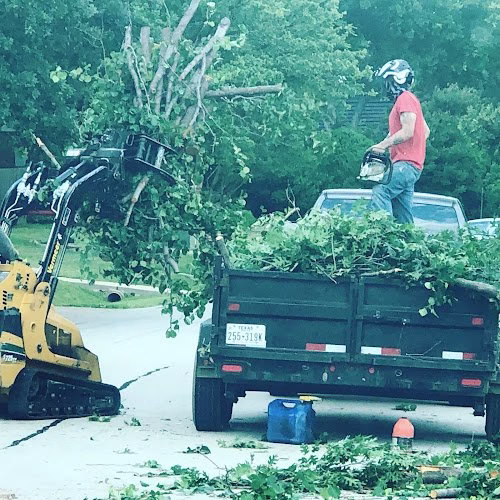 282391 clean edge tree service removal llc