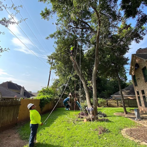 282398 ram bell tree service