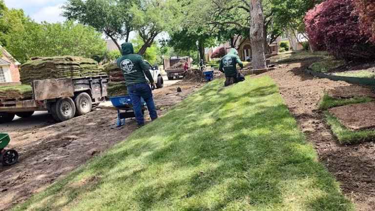 282432 c.diaz pro tree services 768x432