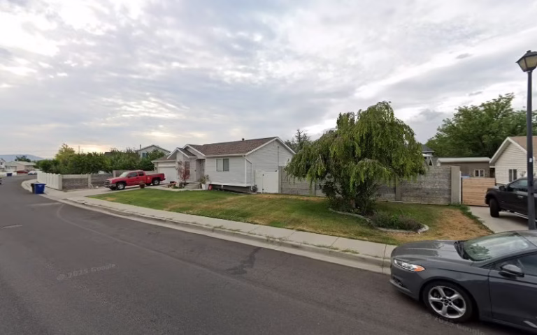 282447 a dutchman tree care llc 768x480