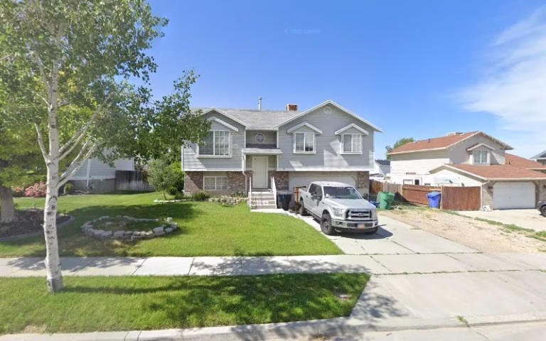 282451 loyalty tree services landscaping 768x480