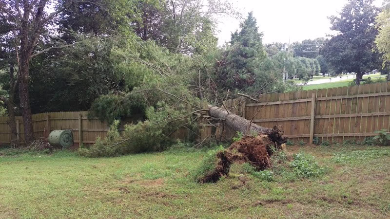 282510 stump n grind