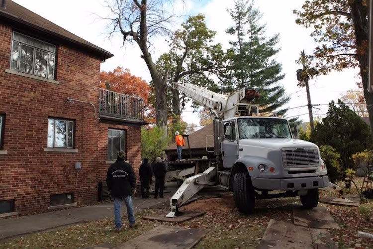 282589 garys tree services