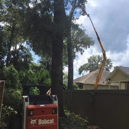 282657 a1 sales services inc. a 1 tree services