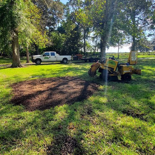 282679 gainesville stump grinding
