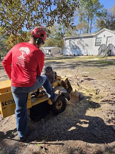 282684 millers tree service ocala