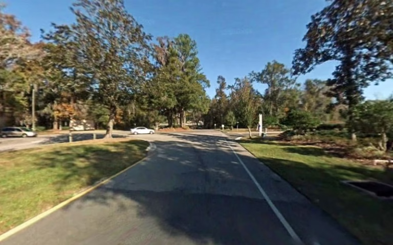 282703 insta gator tree services alachua 768x480