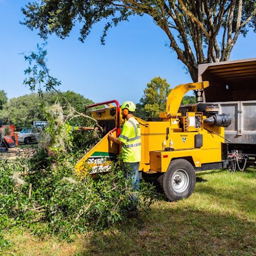 282706 sas tree service