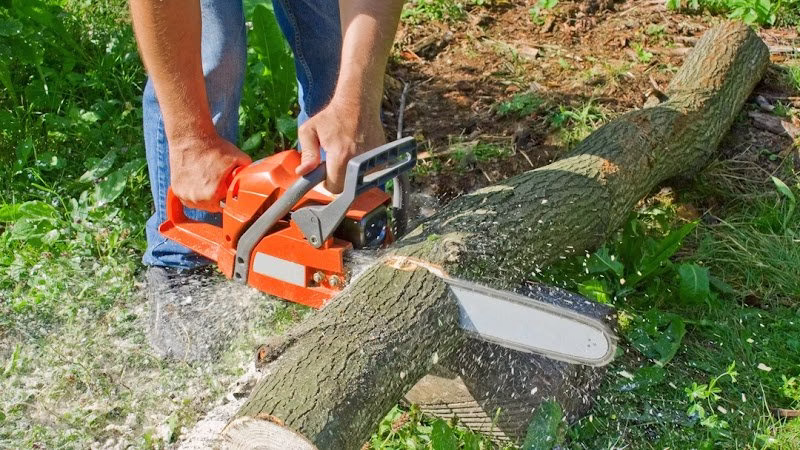 282713 family tradition tree service