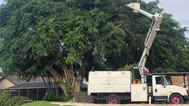 282769 real tree trimming landscaping inc