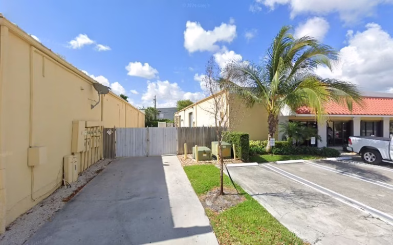 282794 primo tree removal 768x480