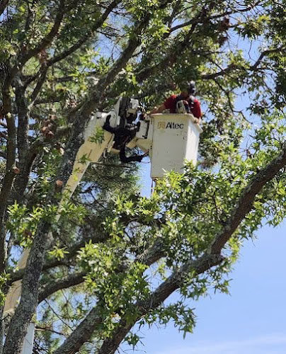 282867 kirbys tree care llc