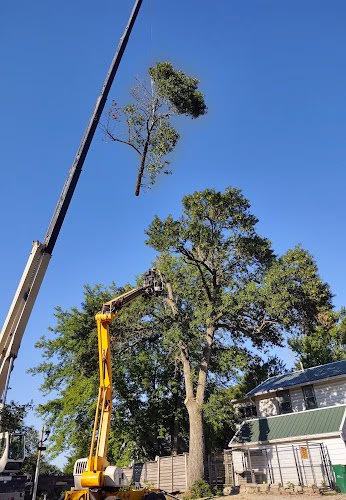 282933 dj tree service
