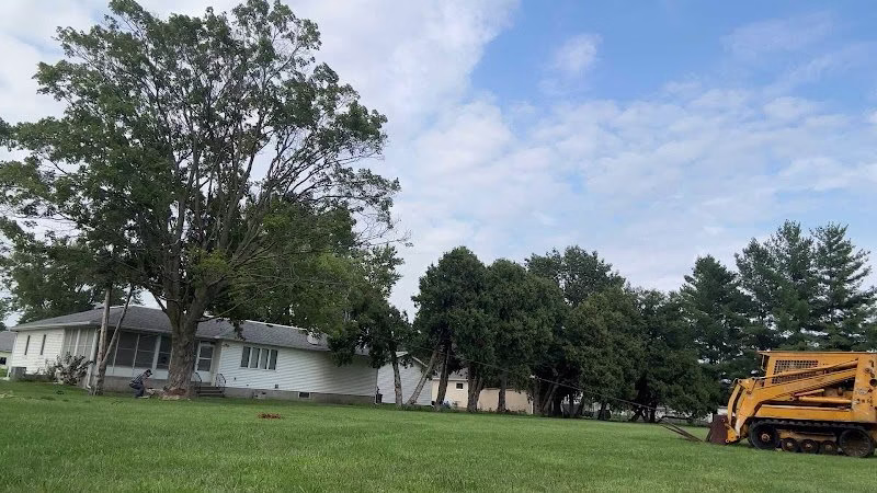 282939 jerrys tree service