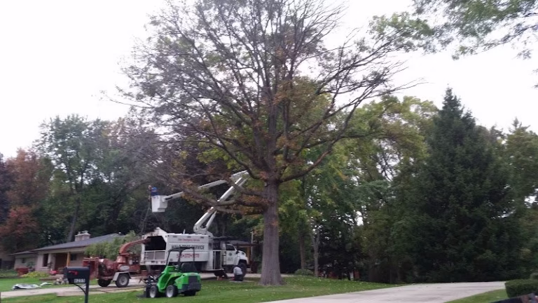 282956 halo tree service llc 768x432