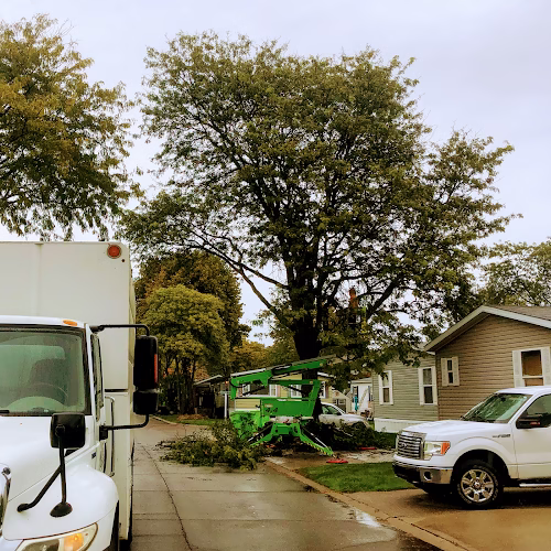 282958 able tree experts