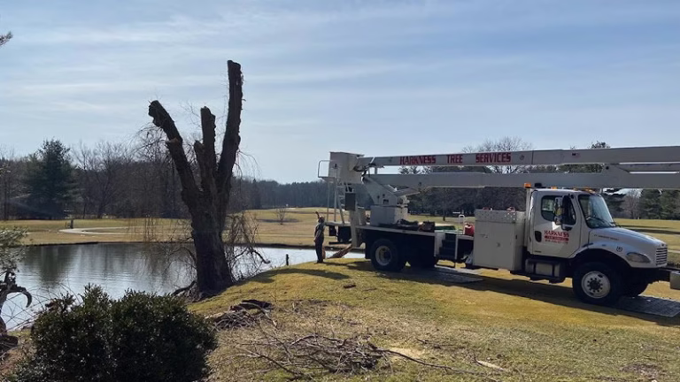 283006 harkness tree services llc 768x432