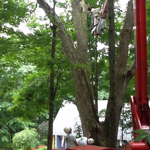 283043 woodbridge estate care