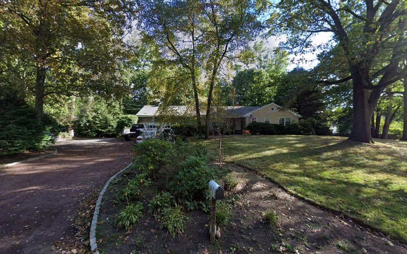 283094 north stamford tree services