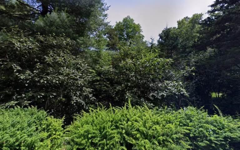 283100 highland tree service 768x480