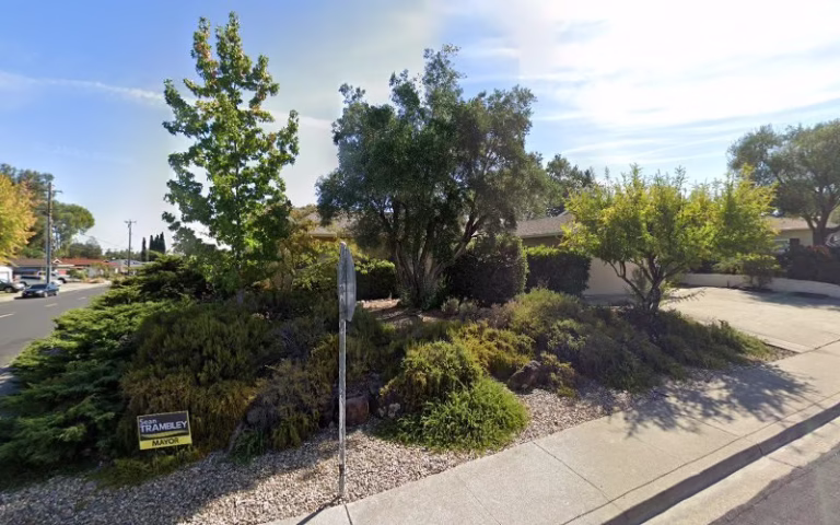 283173 east bay stump removal 1 768x480