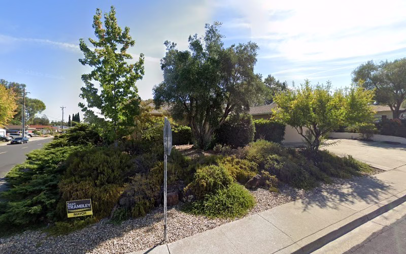 283173 east bay stump removal 1