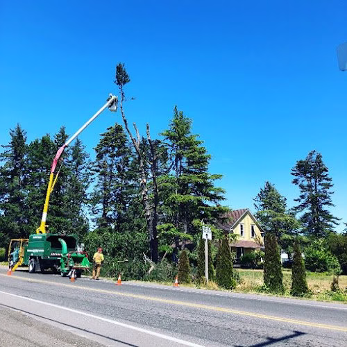 283216 arbor barber tree service