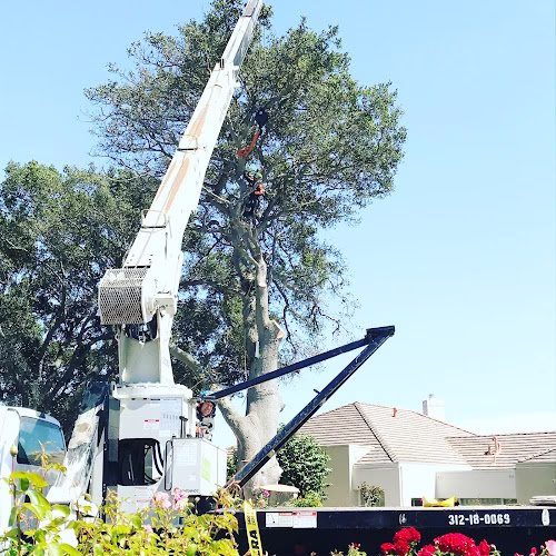 283249 new sky tree service