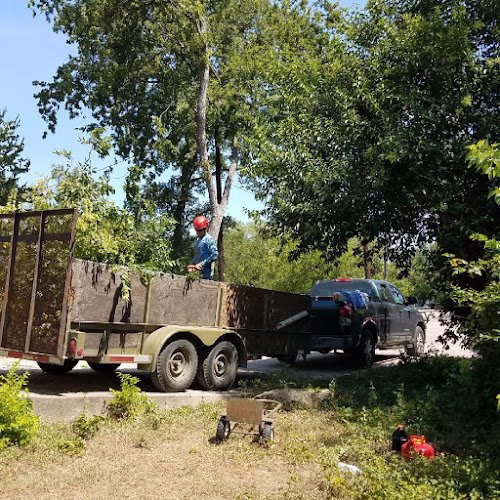 283279 james tree service