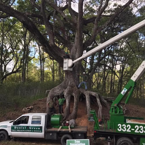 283371 tree preservation and removal services by daniel green