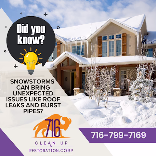 285549 716 clean up restoration