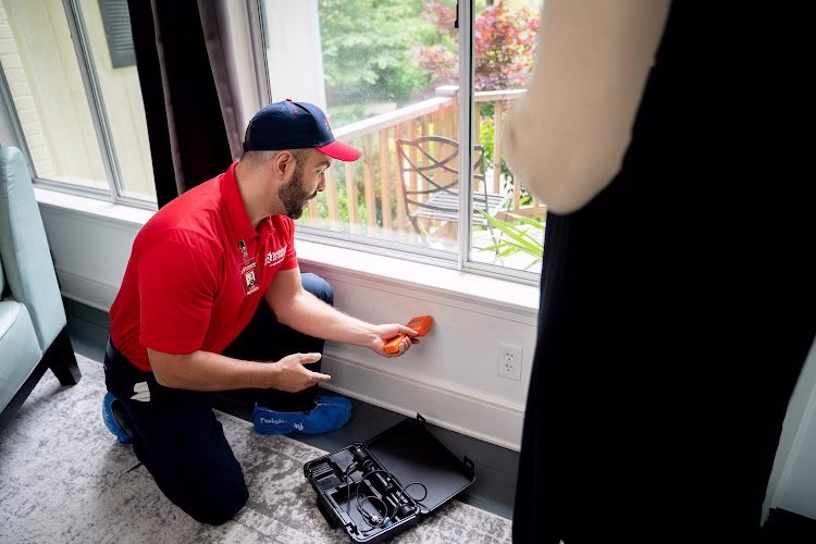 285594 rainbow international of reno sparks