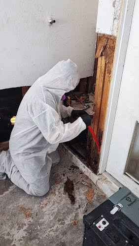 285609 ca restoration llc