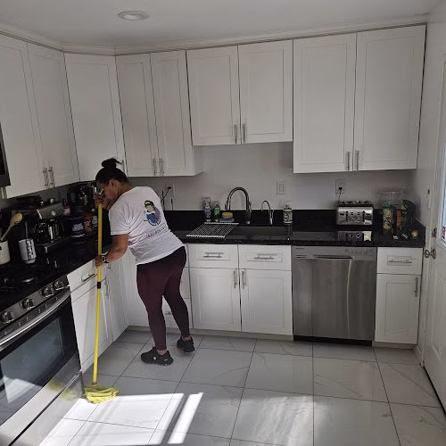 287581 lisa cleaning service