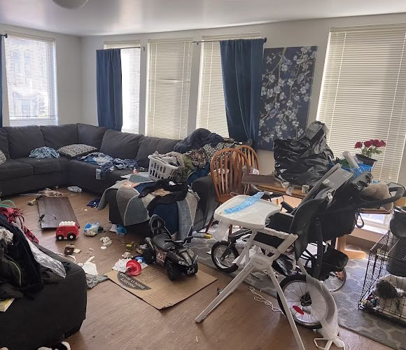 287627 cleaning pros of seattle