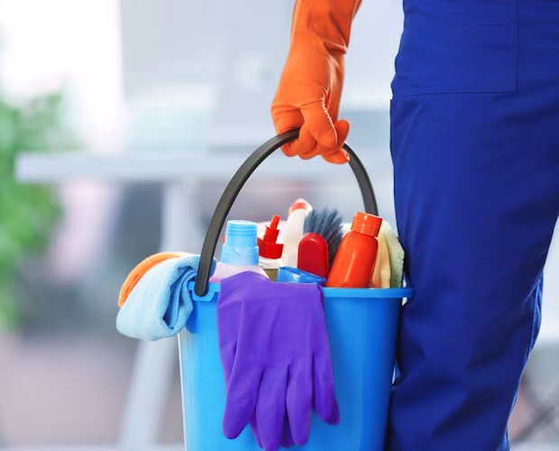 287650 naimes house cleaning service llc