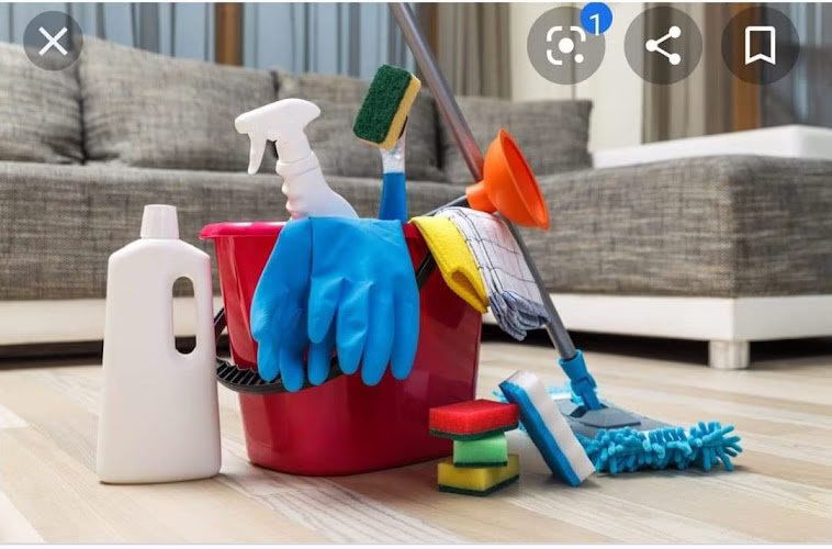 287847 carla the girls cleaning llc