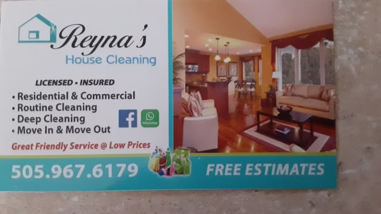 287871 reynas house cleaning 768x432