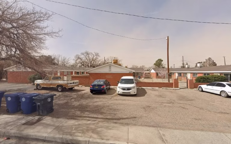 287883 yolys housecleaner 768x480