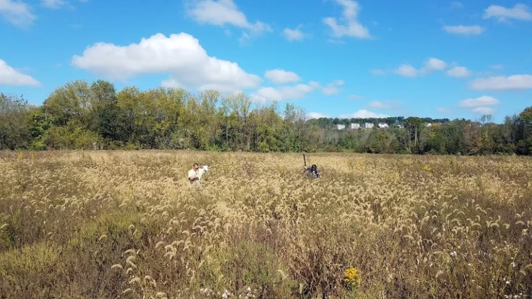 288565 penns trail environmental llc 768x432