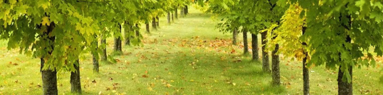 289000 l and l environmental services llc 768x192