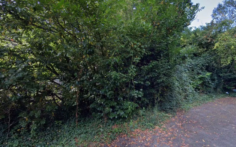 289123 burien septic tank services 1 768x480