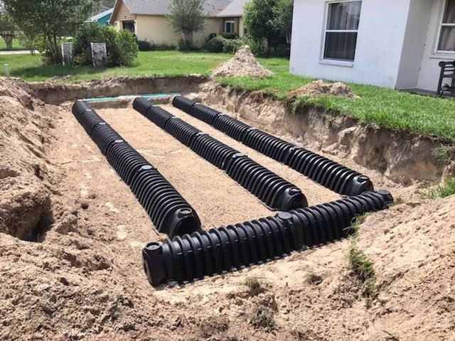 290304 johns by john ii