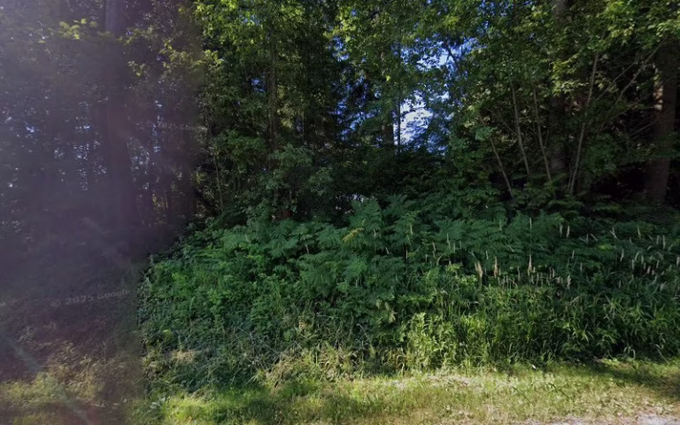 291321 tri county septic 768x480