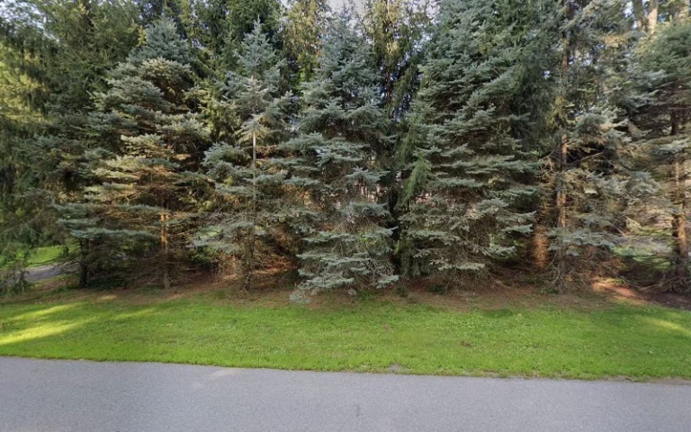 291454 andronaco excavating 768x480