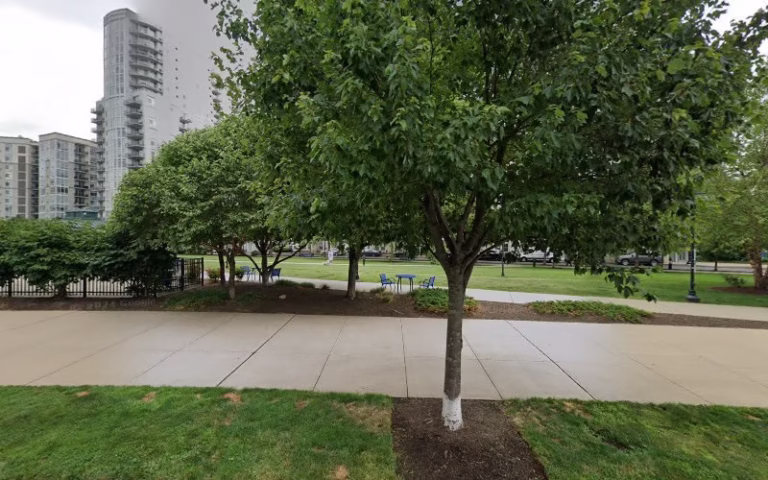 291485 a 1 battistones plumberooter 768x480