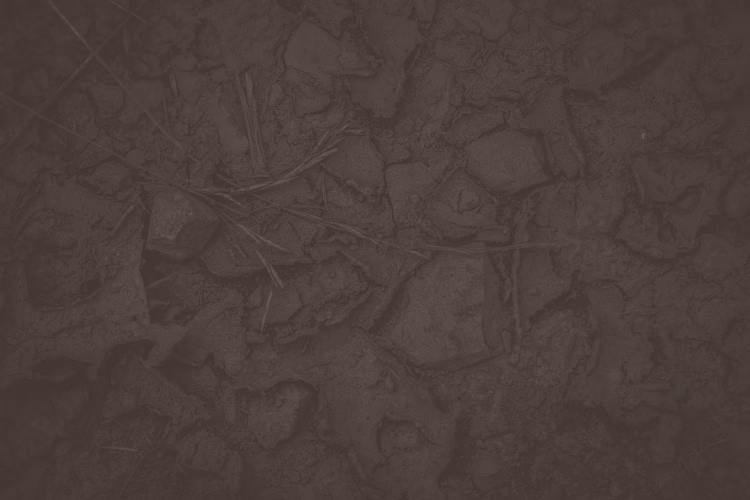 291494 c a marvin septic excavation