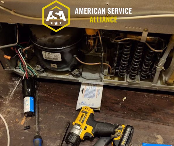 292762 american service alliance 1