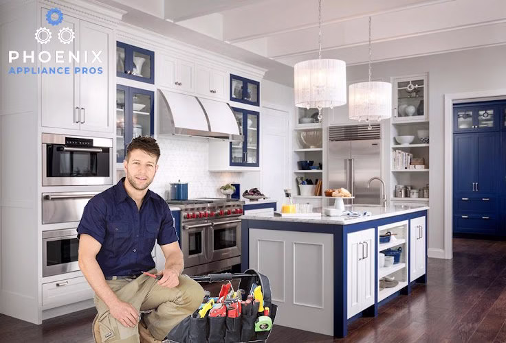 292958 phoenix appliance pros